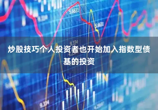 炒股技巧个人投资者也开始加入指数型债基的投资