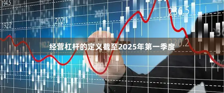 经营杠杆的定义截至2025年第一季度