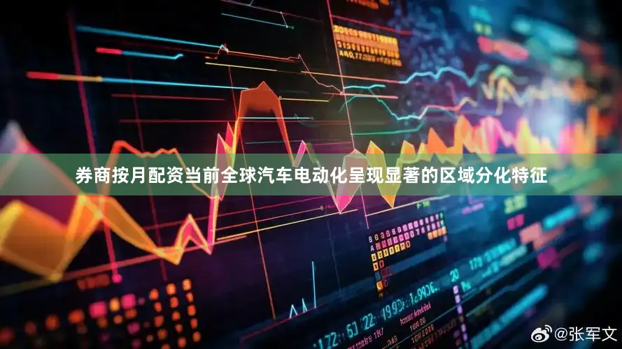 券商按月配资当前全球汽车电动化呈现显著的区域分化特征