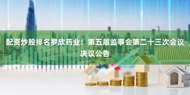配资炒股排名罗欣药业：第五届监事会第二十三次会议决议公告