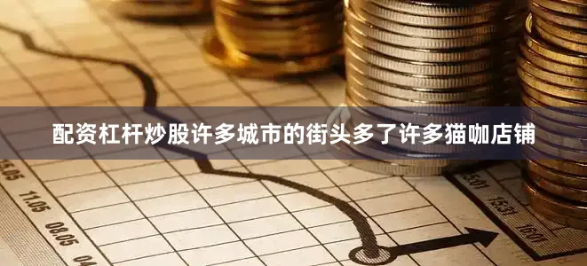 配资杠杆炒股许多城市的街头多了许多猫咖店铺
