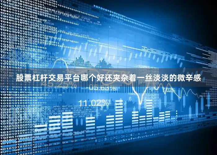 股票杠杆交易平台哪个好还夹杂着一丝淡淡的微辛感